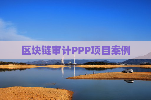 区块链审计PPP项目案例