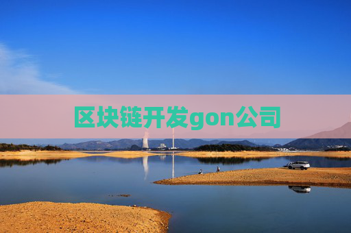 区块链开发gon公司