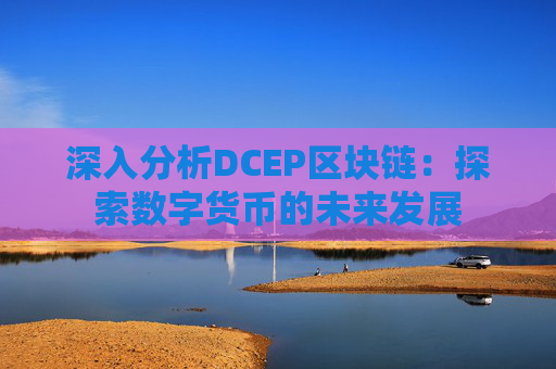 深入分析DCEP区块链：探索数字货币的未来发展