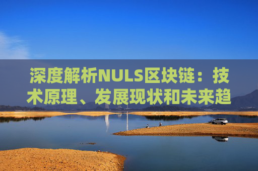 深度解析NULS区块链：技术原理、发展现状和未来趋势