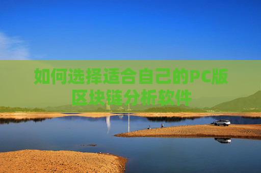 如何选择适合自己的PC版区块链分析软件