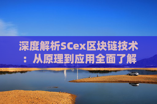 深度解析SCex区块链技术：从原理到应用全面了解