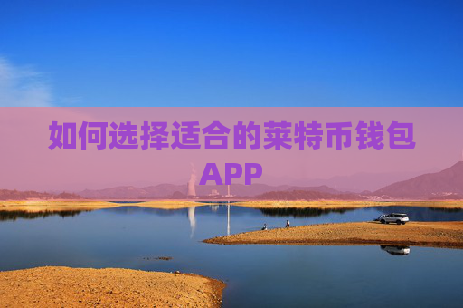 如何选择适合的莱特币钱包APP