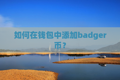 如何在钱包中添加badger币？