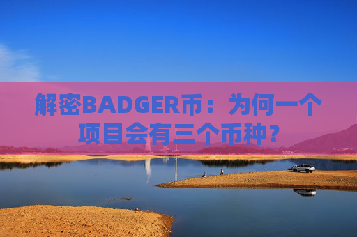 解密BADGER币：为何一个项目会有三个币种？