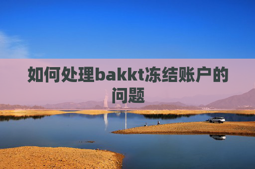 如何处理bakkt冻结账户的问题