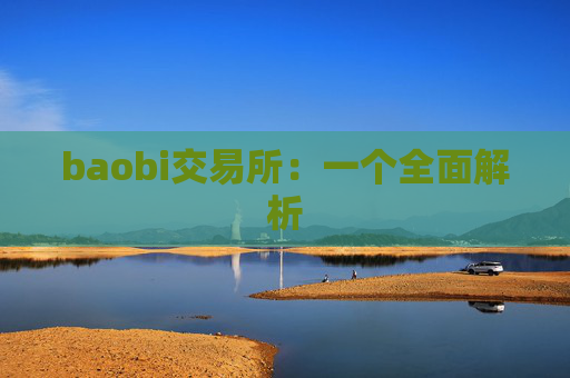 baobi交易所：一个全面解析