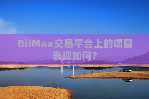 BitMax交易平台上的项目表现如何？