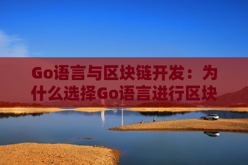 Go语言与区块链开发：为什么选择Go语言进行区块链开发？