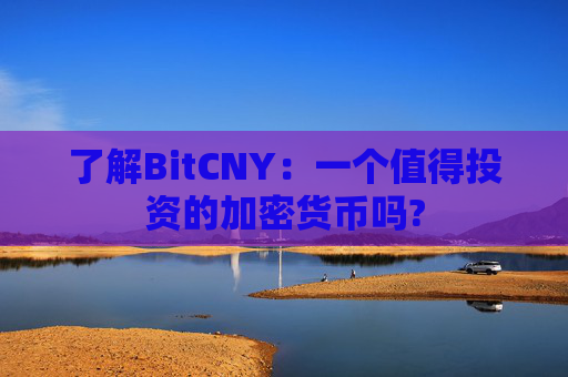 了解BitCNY：一个值得投资的加密货币吗?