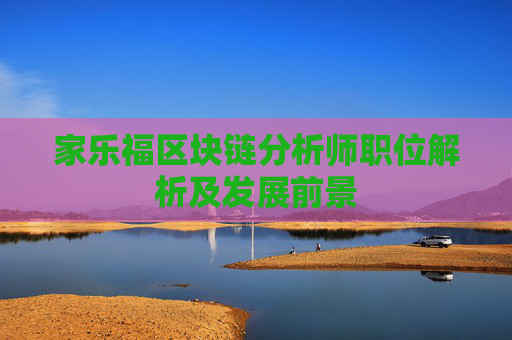 家乐福区块链分析师职位解析及发展前景