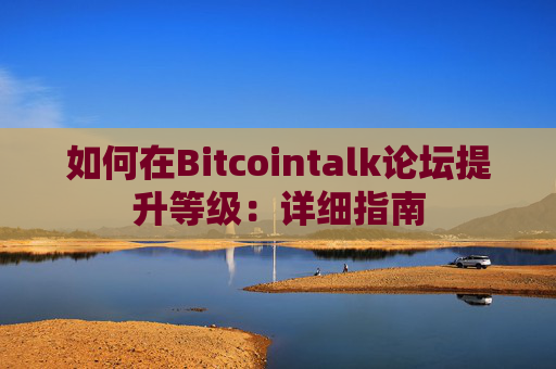 如何在Bitcointalk论坛提升等级：详细指南