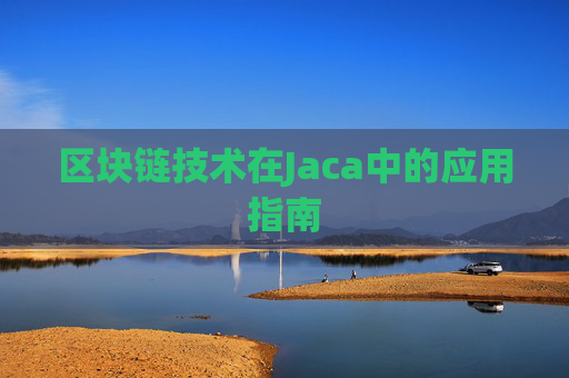 区块链技术在Jaca中的应用指南