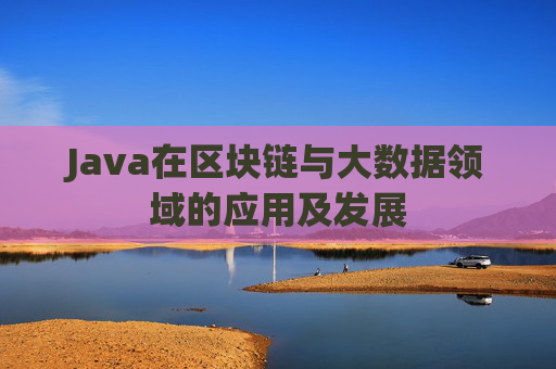 Java在区块链与大数据领域的应用及发展