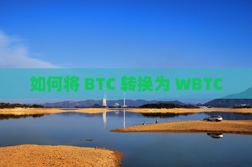 如何将 BTC 转换为 WBTC