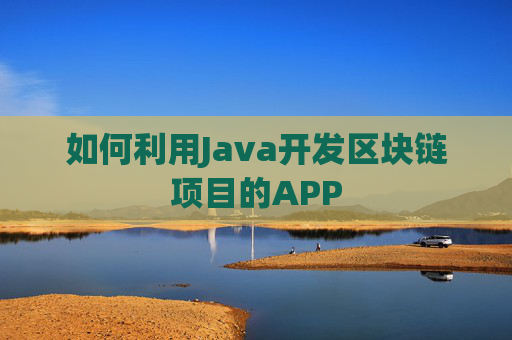 如何利用Java开发区块链项目的APP