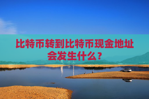 比特币转到比特币现金地址会发生什么？