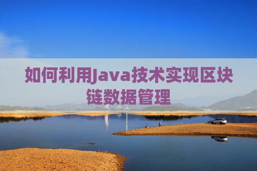 如何利用Java技术实现区块链数据管理