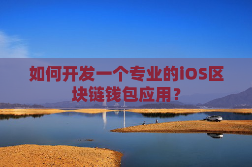 如何开发一个专业的iOS区块链钱包应用？