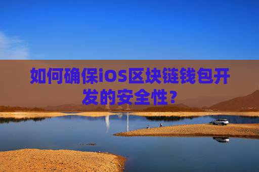 如何确保iOS区块链钱包开发的安全性？