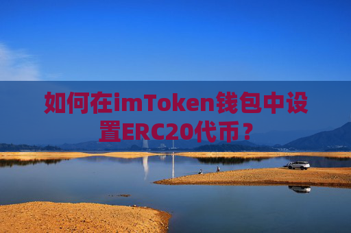 如何在imToken钱包中设置ERC20代币？