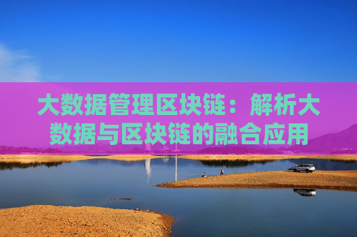 大数据管理区块链：解析大数据与区块链的融合应用