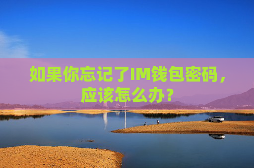 如果你忘记了IM钱包密码，应该怎么办？