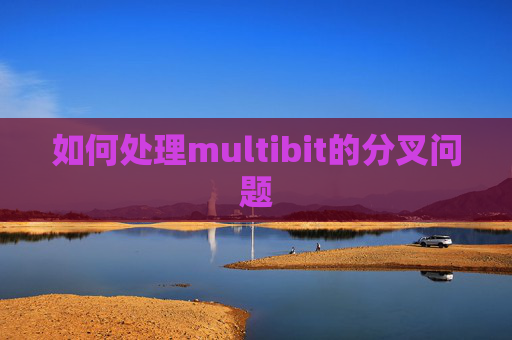 如何处理multibit的分叉问题