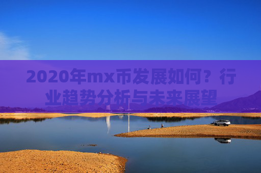 2020年mx币发展如何？行业趋势分析与未来展望