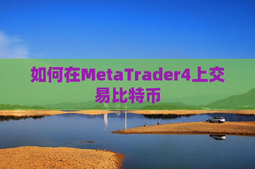 如何在MetaTrader4上交易比特币