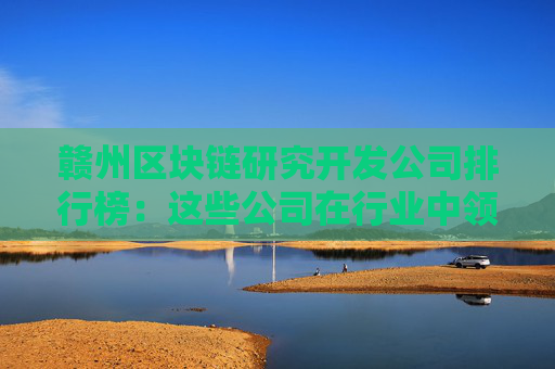 赣州区块链研究开发公司排行榜：这些公司在行业中领先