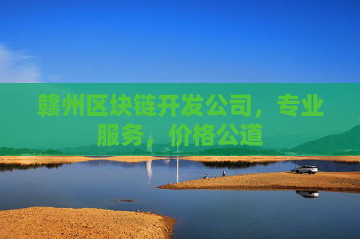 赣州区块链开发公司，专业服务，价格公道