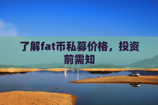 了解fat币私募价格，投资前需知