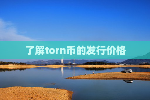 了解torn币的发行价格