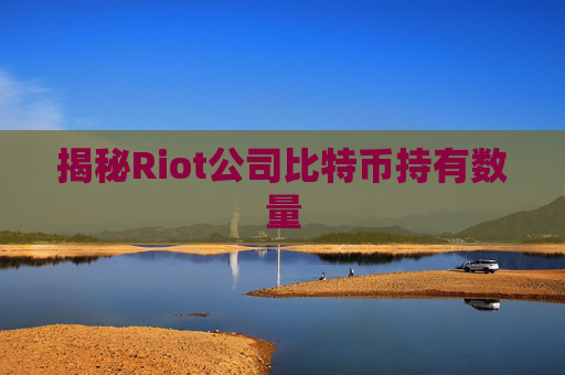 揭秘Riot公司比特币持有数量