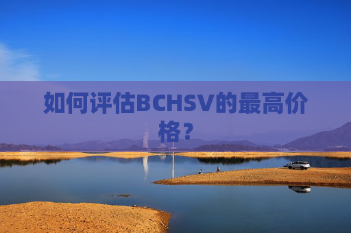 如何评估BCHSV的最高价格？