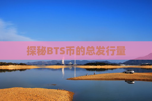 探秘BTS币的总发行量