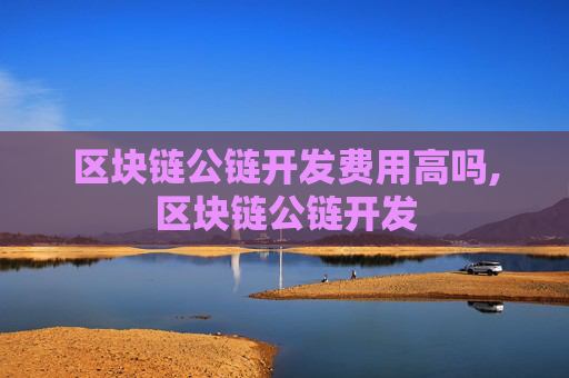 区块链公链开发费用高吗,区块链公链开发