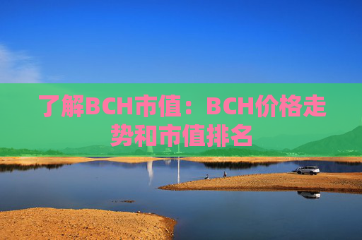 了解BCH市值：BCH价格走势和市值排名