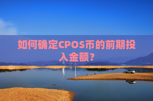 如何确定CPOS币的前期投入金额？