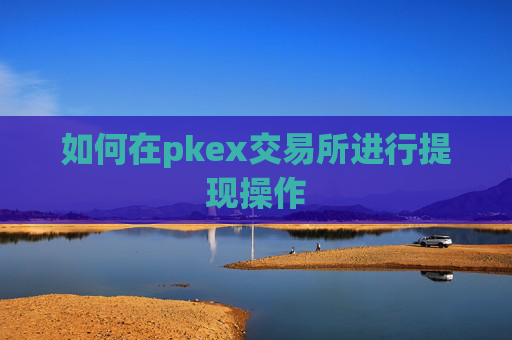 如何在pkex交易所进行提现操作