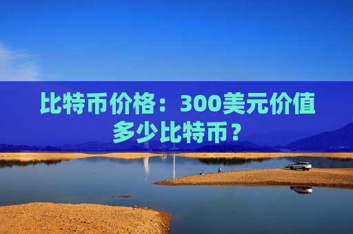 比特币价格：300美元价值多少比特币？