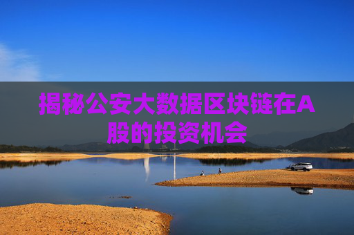 揭秘公安大数据区块链在A股的投资机会