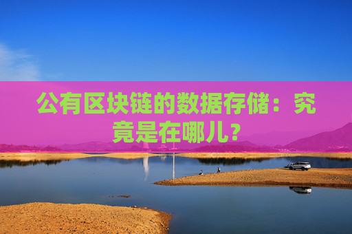 公有区块链的数据存储：究竟是在哪儿？