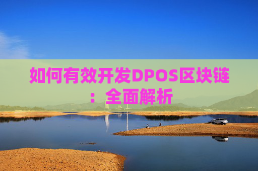 如何有效开发DPOS区块链：全面解析