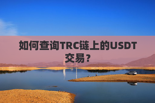 如何查询TRC链上的USDT交易？