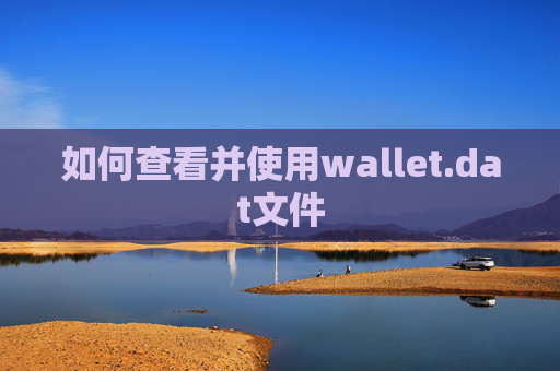 如何查看并使用wallet.dat文件