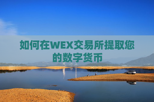 如何在WEX交易所提取您的数字货币