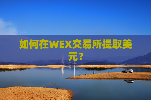 如何在WEX交易所提取美元？