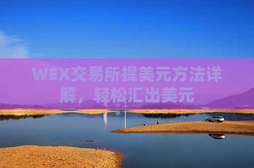 WEX交易所提美元方法详解，轻松汇出美元